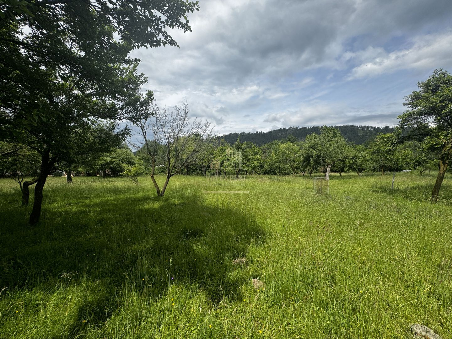 TEREN INTRAVILAN 4600 MP, VOINESTI, LERESTI, ARGEȘ - Poză 7