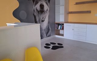 BRASADAS vinde casa 4 cam Sararie - Copou. - Poză 5