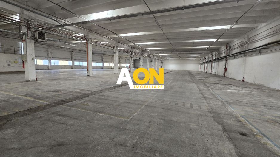 Hala 2750mp Utili Zona Centrala, 2800mp Teren - Poză 2