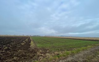 TEREN EXTRAVILAN 13 ARI | FRONT STRADAL 13 M | MARGINEA - Poză 1