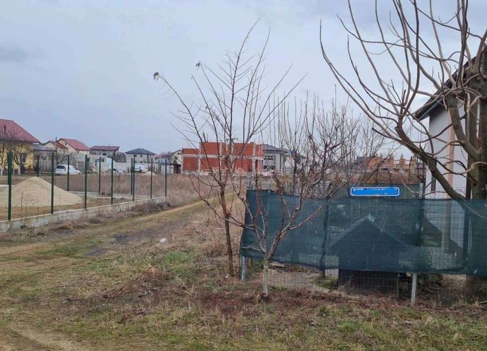 Teren Bragadiru -  Varteju - Magurele - Poză 5