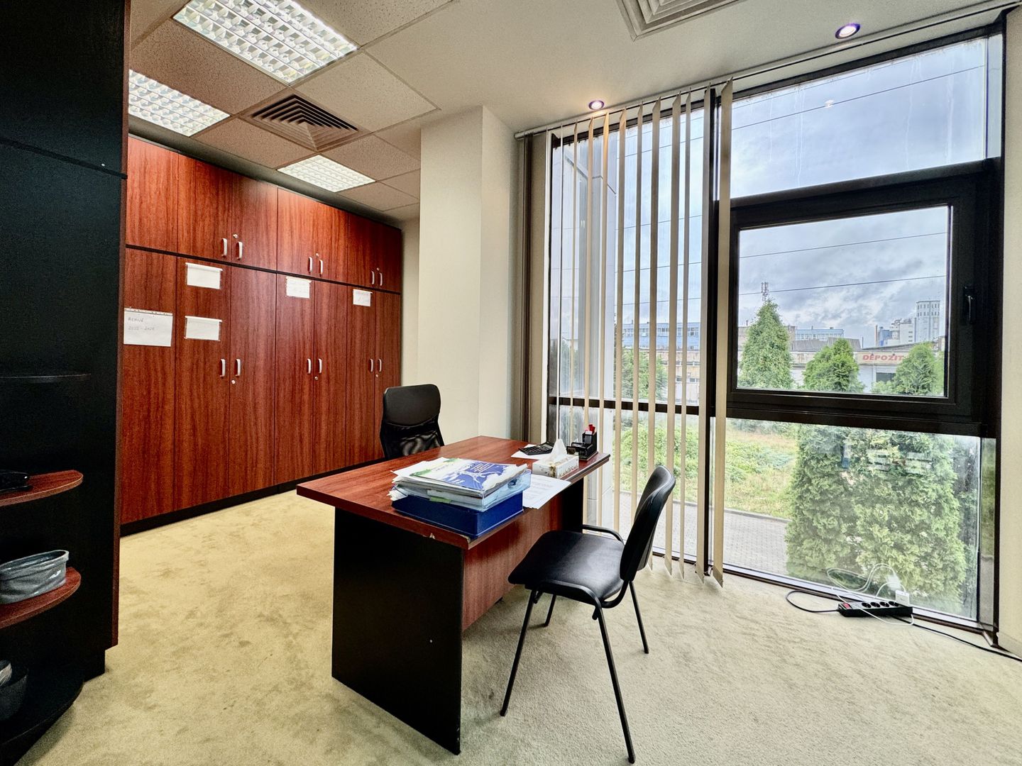 Spațiu pentru birouri langa Funshop Buziașului - Poză 22