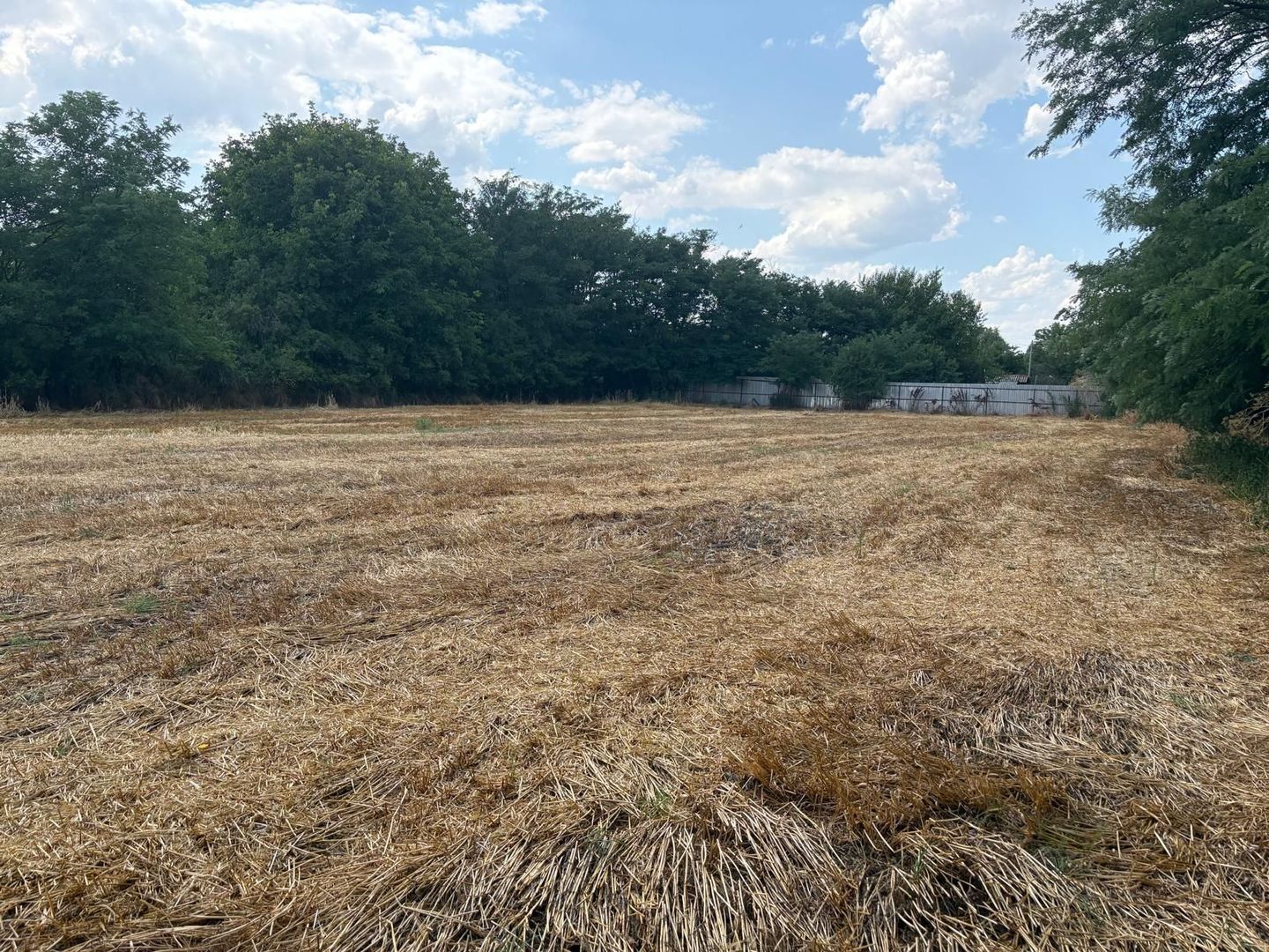 Teren intravilan 2580 mp - Hagiesti - Poză 2