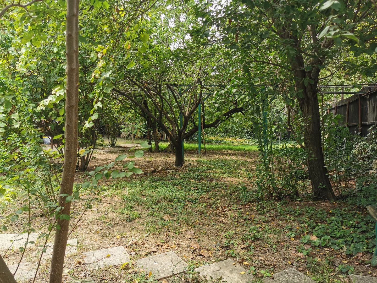 Cel mai ieftin teren central! -  strada Acvila nr 16.  -13 Septembrie - Poză 9