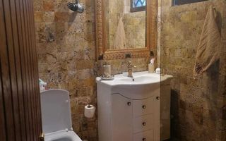 COTROCENI - Cuibușorul de nebunii al pictorului Zamfir DUMITRESCU - Poză 5