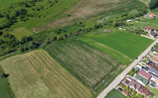 Teren intravilan 10.000 mp, Rotbav (Feldioara) - Poză 3