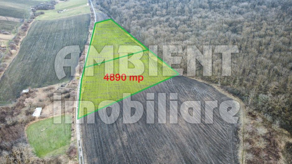 Teren intravilan 5.000 mp, VASLUI zona GURA BUSTEI; - Poză 2