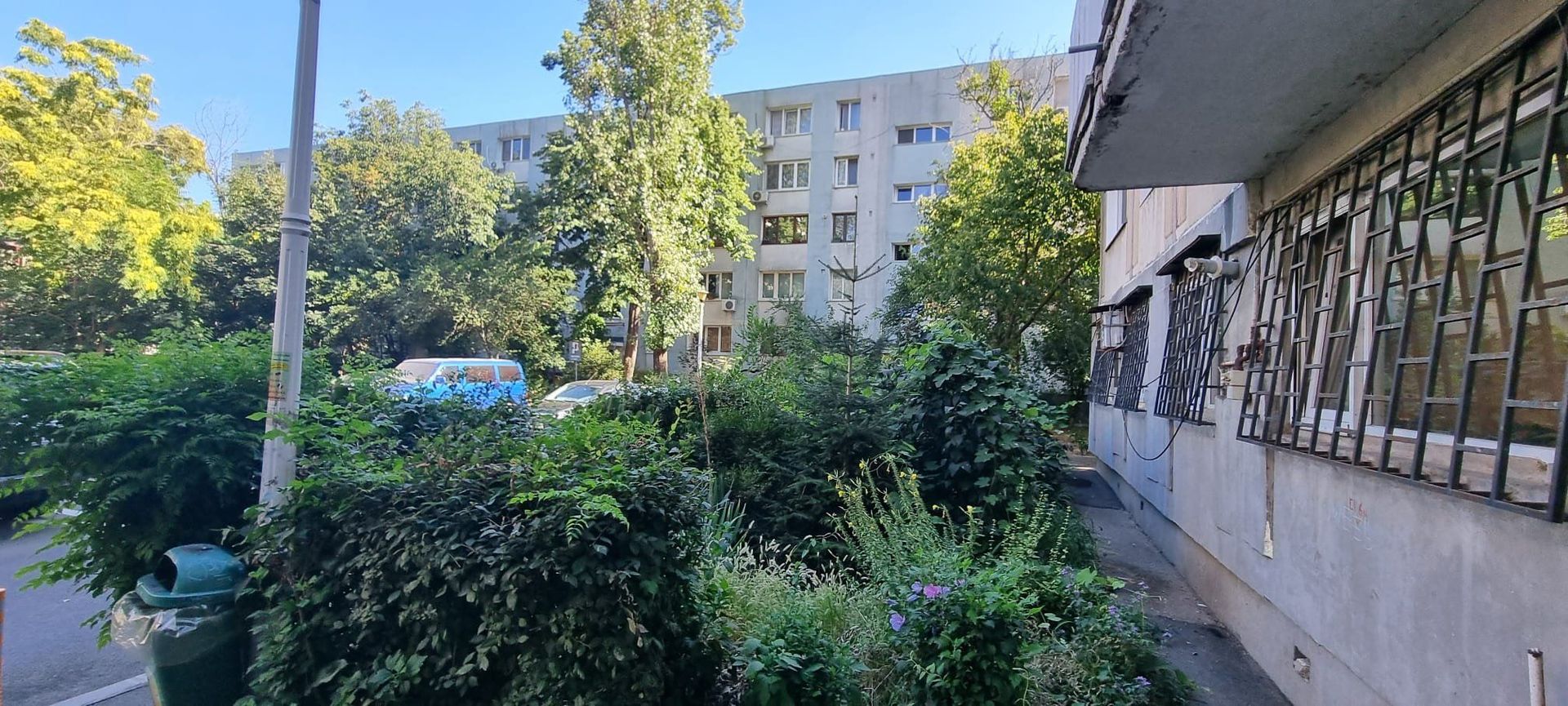 Timisoara Profii - Poză 2