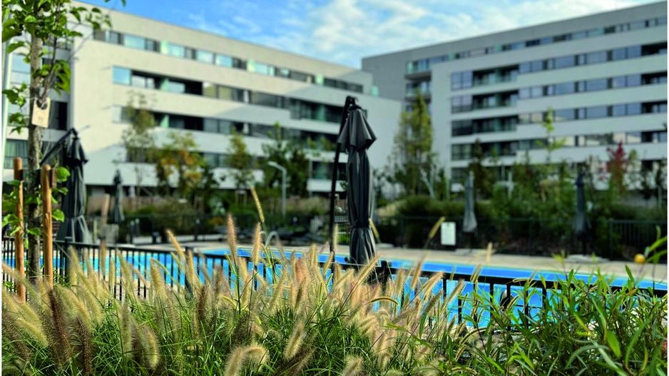 Apartament 4 camere de vanzare - Poză 4