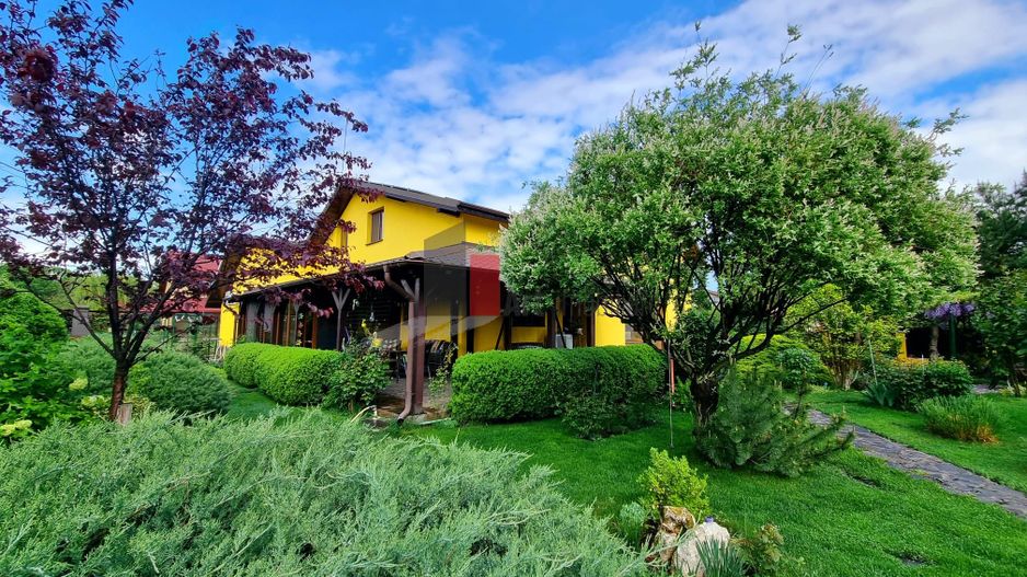 Vila cu gradina impresionanta | Prosumator | Tancabesti - Poză 3