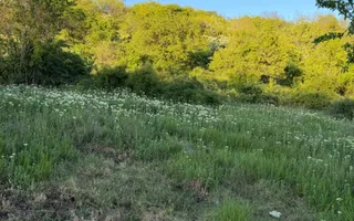 ⭐  Teren de 2.700 mp cu front generos – Ocazie în Oncea - Poză 20