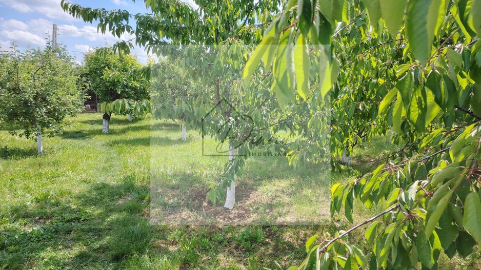 Casa Ciocanesti Cretu - 2 camere cu teren 2539 mp  - Jud. Dambovita - Poză 42