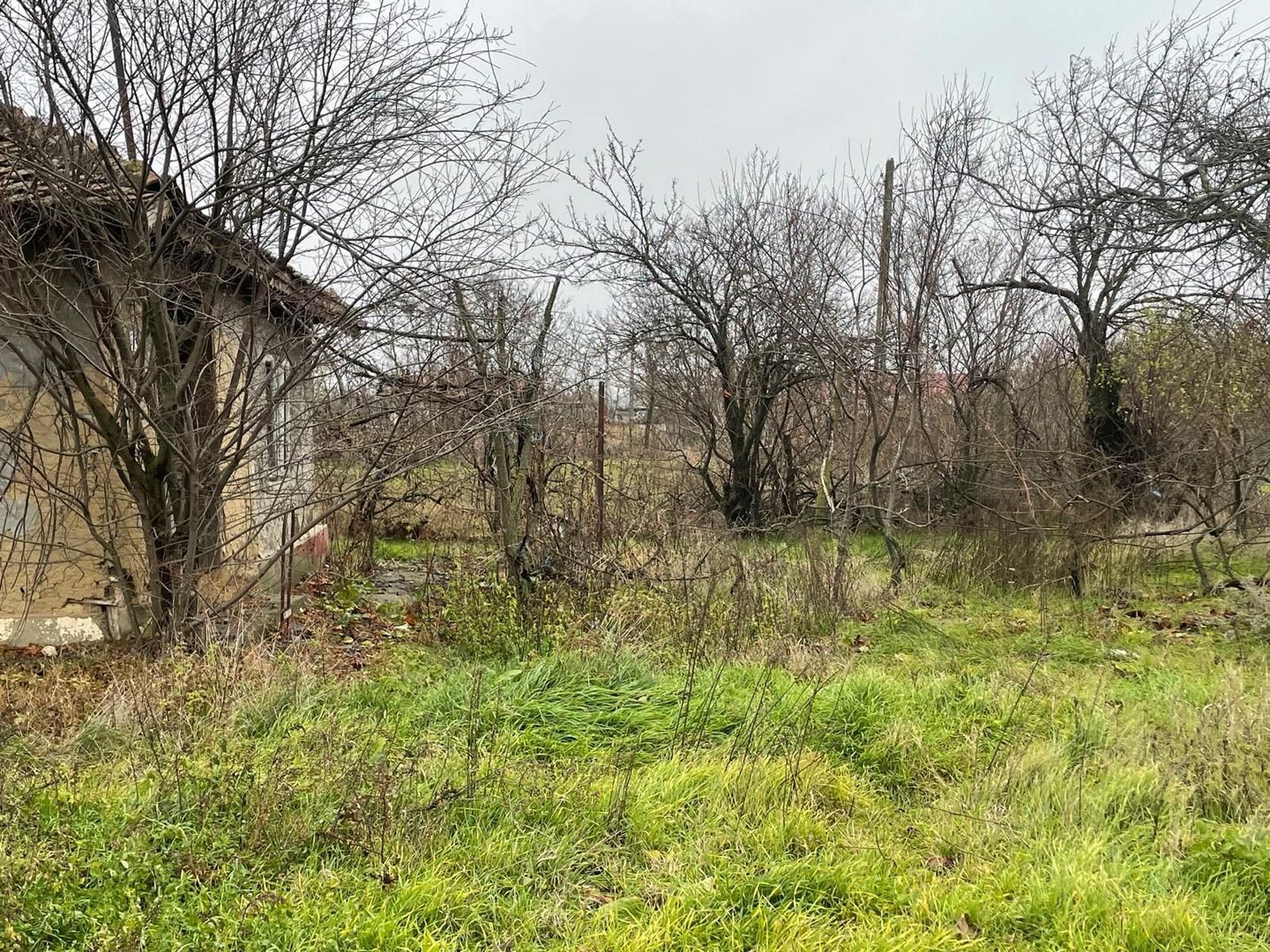 Teren intravilan 3367 mp cu casa demolabile 54 mp puț existent! - Poză 3