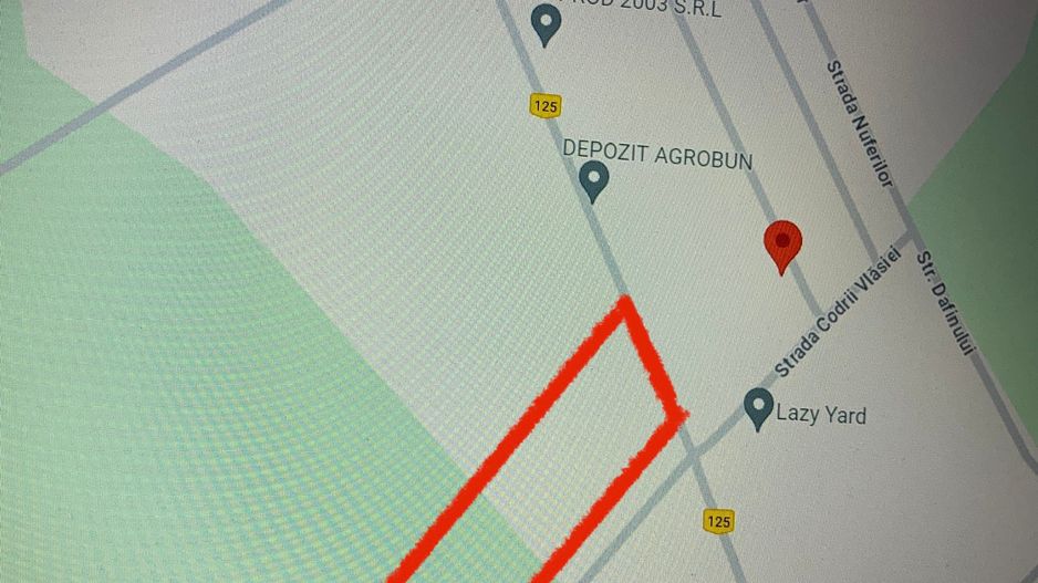 Teren de vanzare Domnesti-Teghes 16.400 mp Intravilan - Poză 2