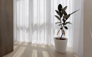 Vânzare, apartament, 2 camere, str. Vasile Lupu, Buiucani - Poză 16