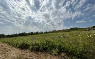 Teren intravilan , localitatea Rascruci ( Cluj) - Poză 6