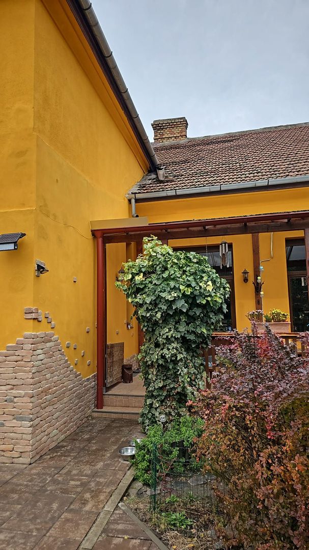 IMOBIL CU GRADINA PROPRIE - Poză 9
