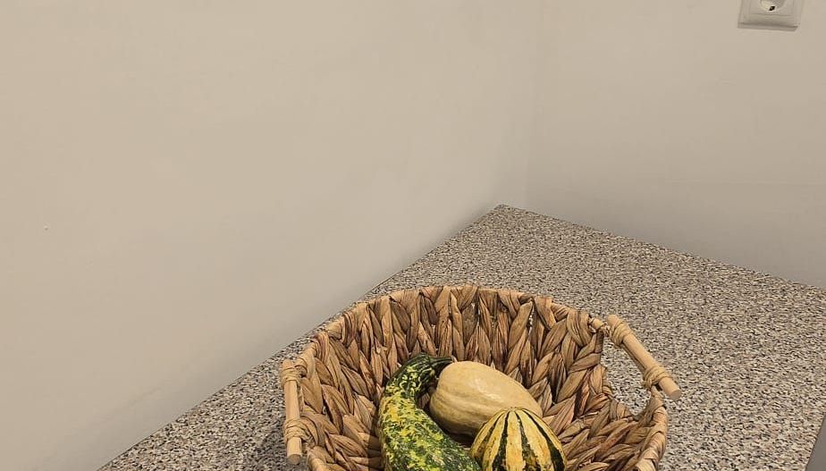 Garsoniera Republicii,ultracentral - Poză 4