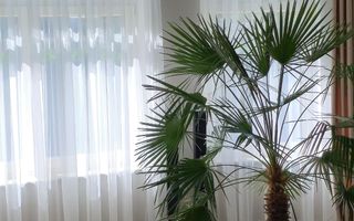 Casă de Vis de Vânzare – Râșnov, Zona Glăjărie (Râul Mare) - Poză 16