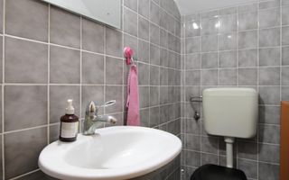 Casa in zona Lipovei,  ideala pentru activitati comerciale. - Poză 31