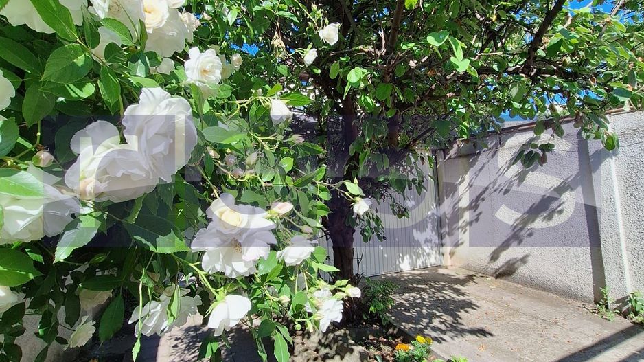 VILA DE VÂNZARE | 6 CAMERE CURTE PROPRIE 200 MP | ZONA CENTRALĂ - Poză 5