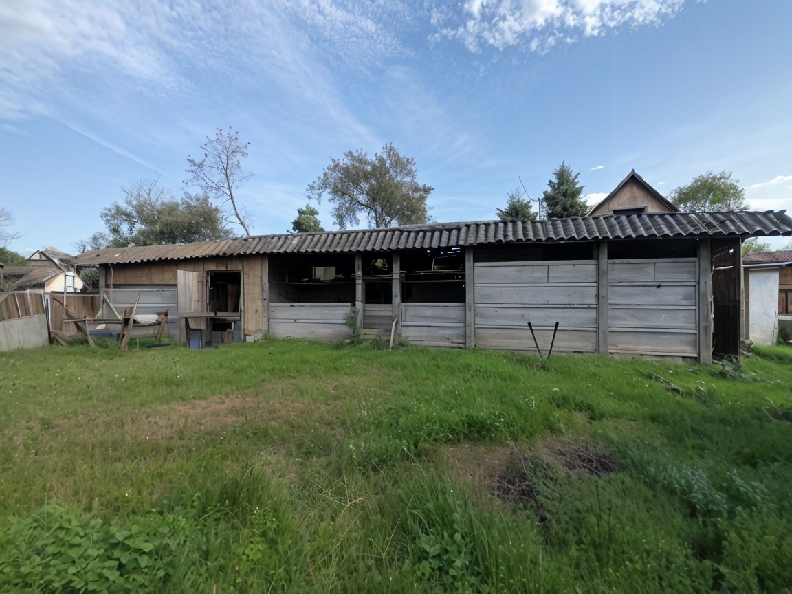 Casa la tara, gaz, acces auto, teren 4122 mp – Petid, Bihor – VANZARE - Poză 13