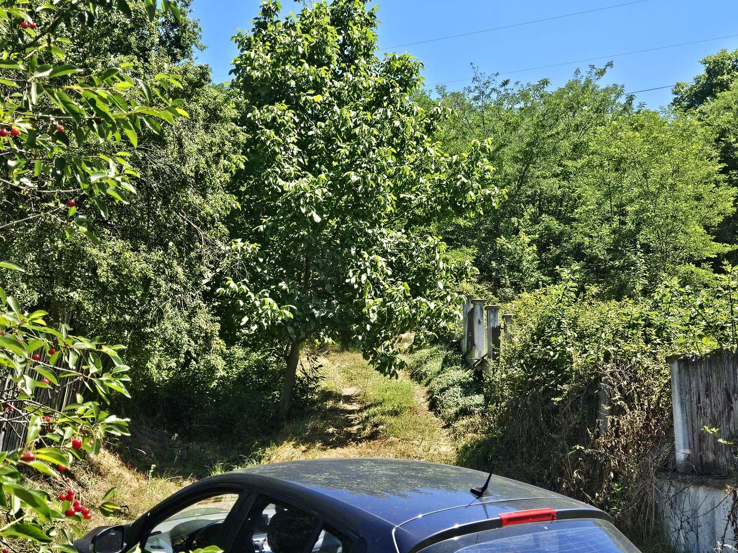 Vanzare teren intravilan, Zigoneni - Curtea de Arges - Poză 5