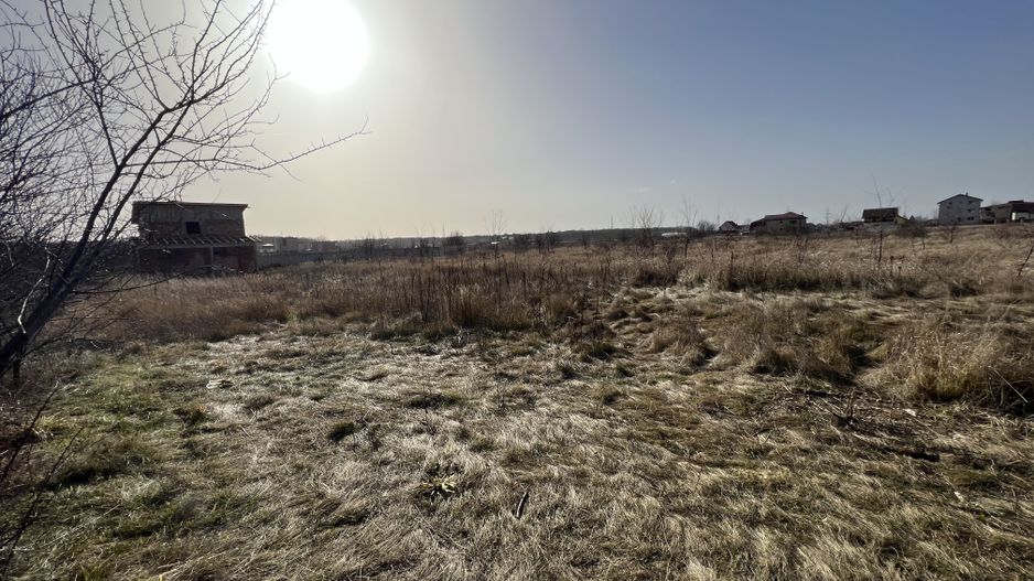 Teren Balotesti - Privighetorilor (Parcului Edenland) - Poză 5