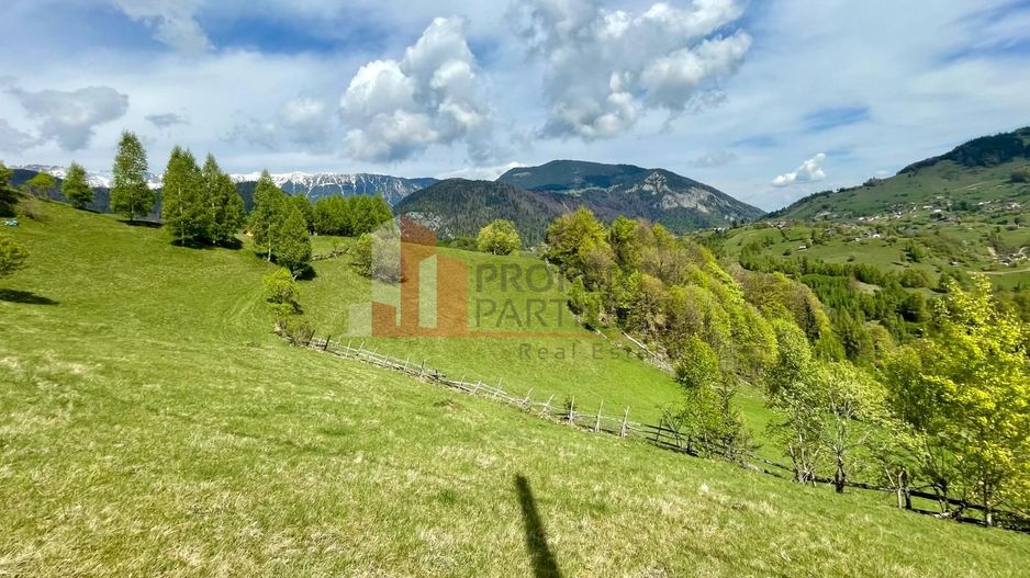 Teren in sat Pestera, comuna Moeciu. - Poză 6