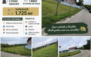 Teren intravilan de vânzare în Dumbrava, Ciurea, Iași - Poză 1