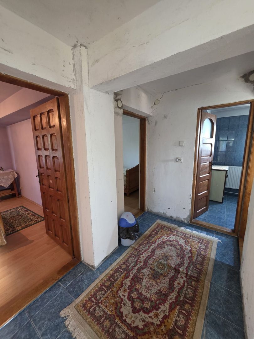 Casă / Vilă cu 8 camere de vânzare în Lapus, Craiova - Poză 15