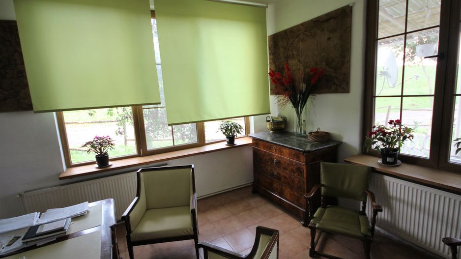 Ferma pomicola cu teren livada 270 ha - Timis - Poză 12