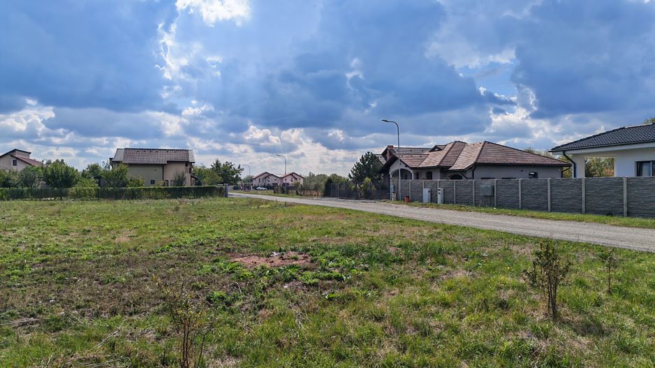 Teren rezidential Sacalaz - Poză 4