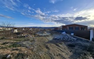 Teren intravilan la intrare in Cristian, pentru constructii industriale - Poză 10