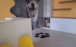 Casa de vanzare Sararie - Copou - Poză 3