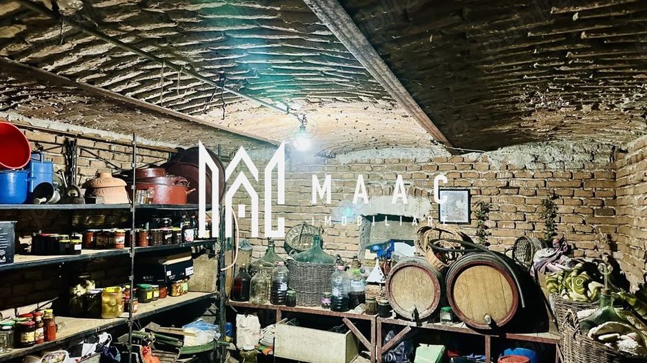 2 case individuale | Potențial investiție | Curte comună | Mediaș - Poză 7