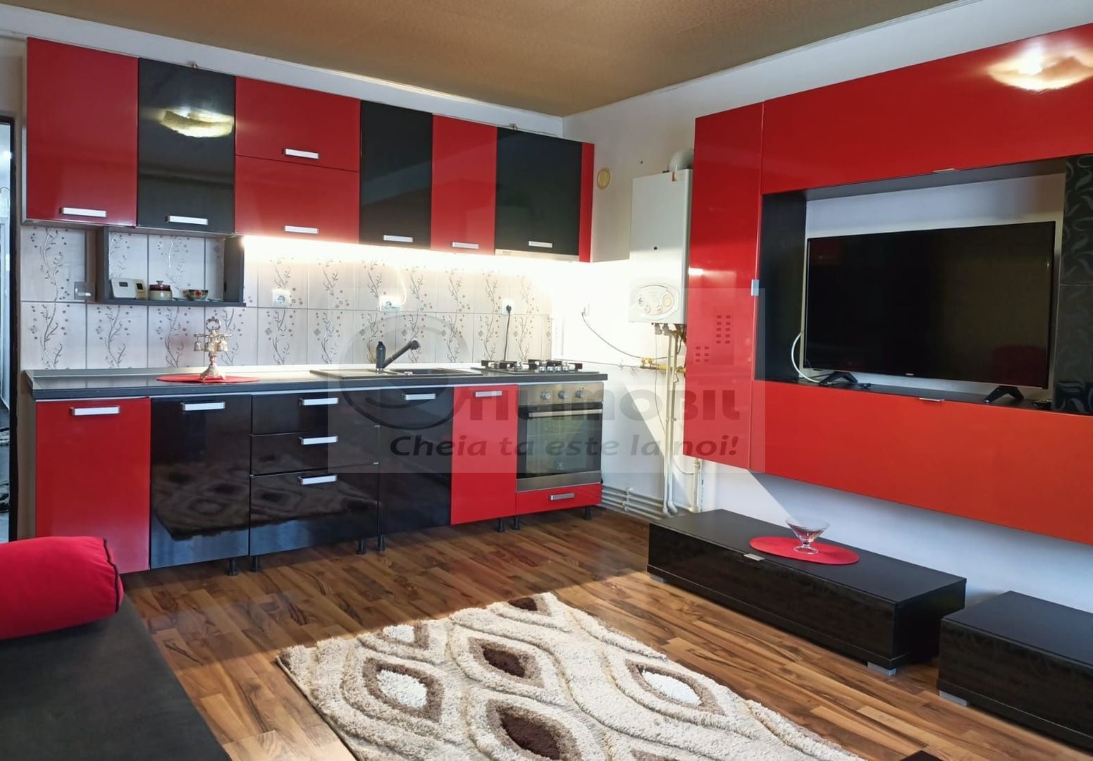 Apartament 2 Camere  Mall Moldova - 390 euro - Poză 2