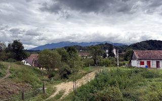 Teren de investiție în Moieciu, lângă Castelul Bran – 11.381 mp, vedere Bucegi - Poză 9