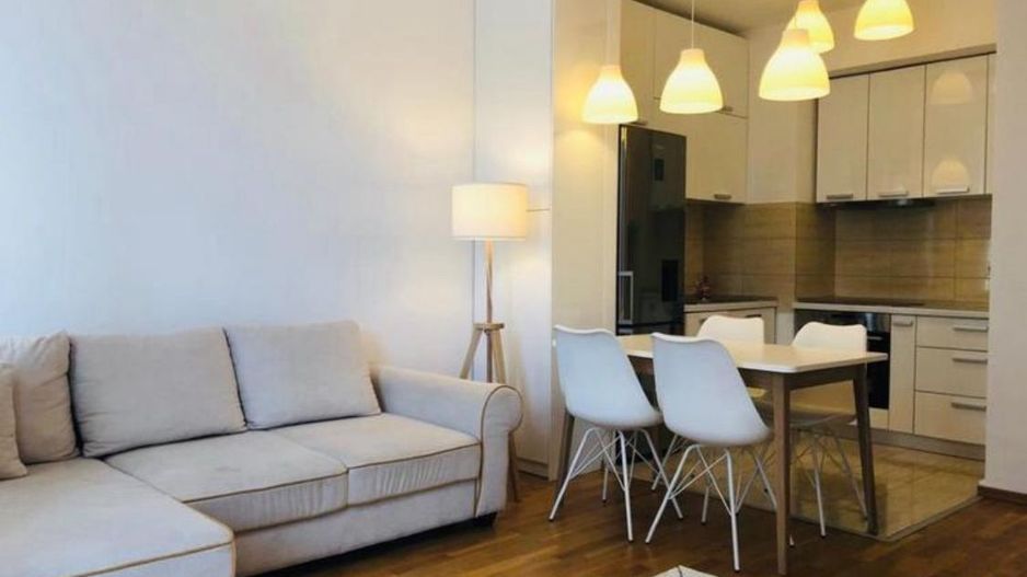 Apartament 2 camere de inchiriat Privighetorilor Iancu Nicolae parcare - Poză 2