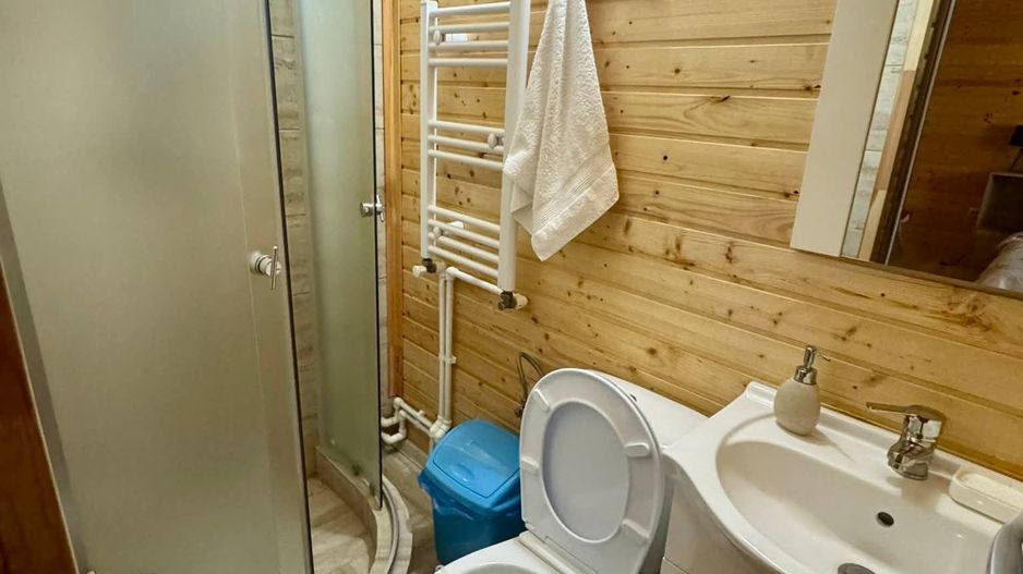 Teren si cabana in Poiana Aiudului - Poză 9