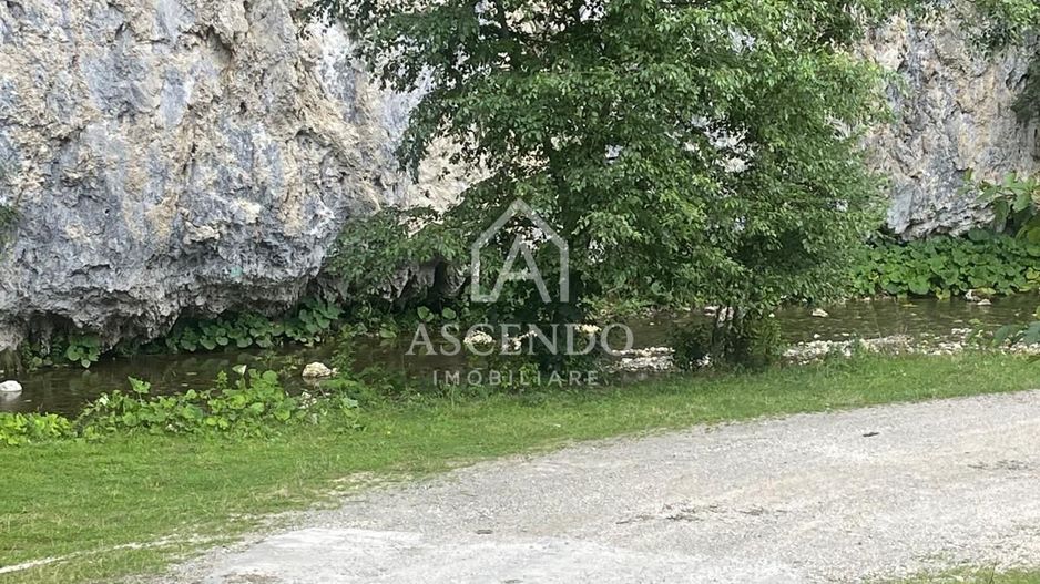 Teren pentru investiție turistică în Dâmbovicioara – Baranga | 4.500 mp | Front ~102 ml - Poză 13