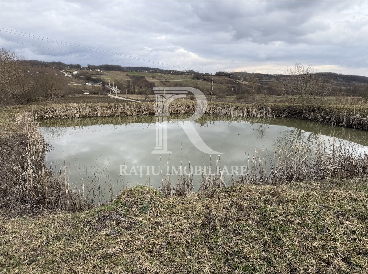 Pescărie cu teren intravilan | Drăgești | Bihor - Poză 4