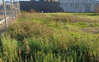 Vand teren Drobeta Turnu Severin - Poză 2