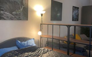 Studio boem open-space 53 mp ultracentral | Cișmigiu – Matei Millo - Poză 7