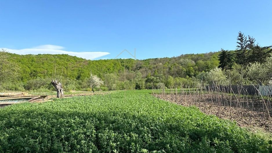 Casa Barsanesti - Poză 15