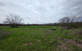 Balta pescuit, peisaj de vis,  padure-lac, investitie garantata - Poză 2