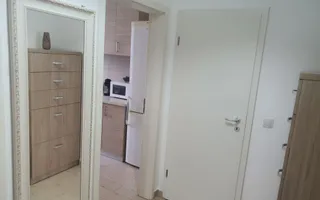 Apartament o cameră cu bucătărie separată - Doamna Stanca - Poză 14
