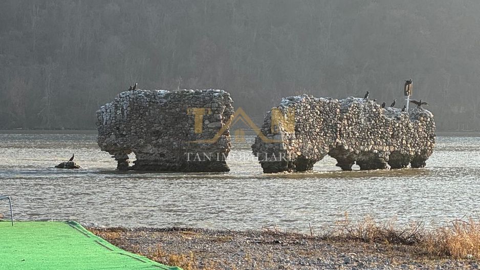 De Vânzare Teren Berzeasca langa Dunăre - Poză 7