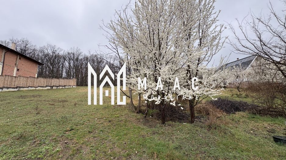 Teren Cisnădioara, 2000 mp, PUZ aprobat, utilități - Poză 8