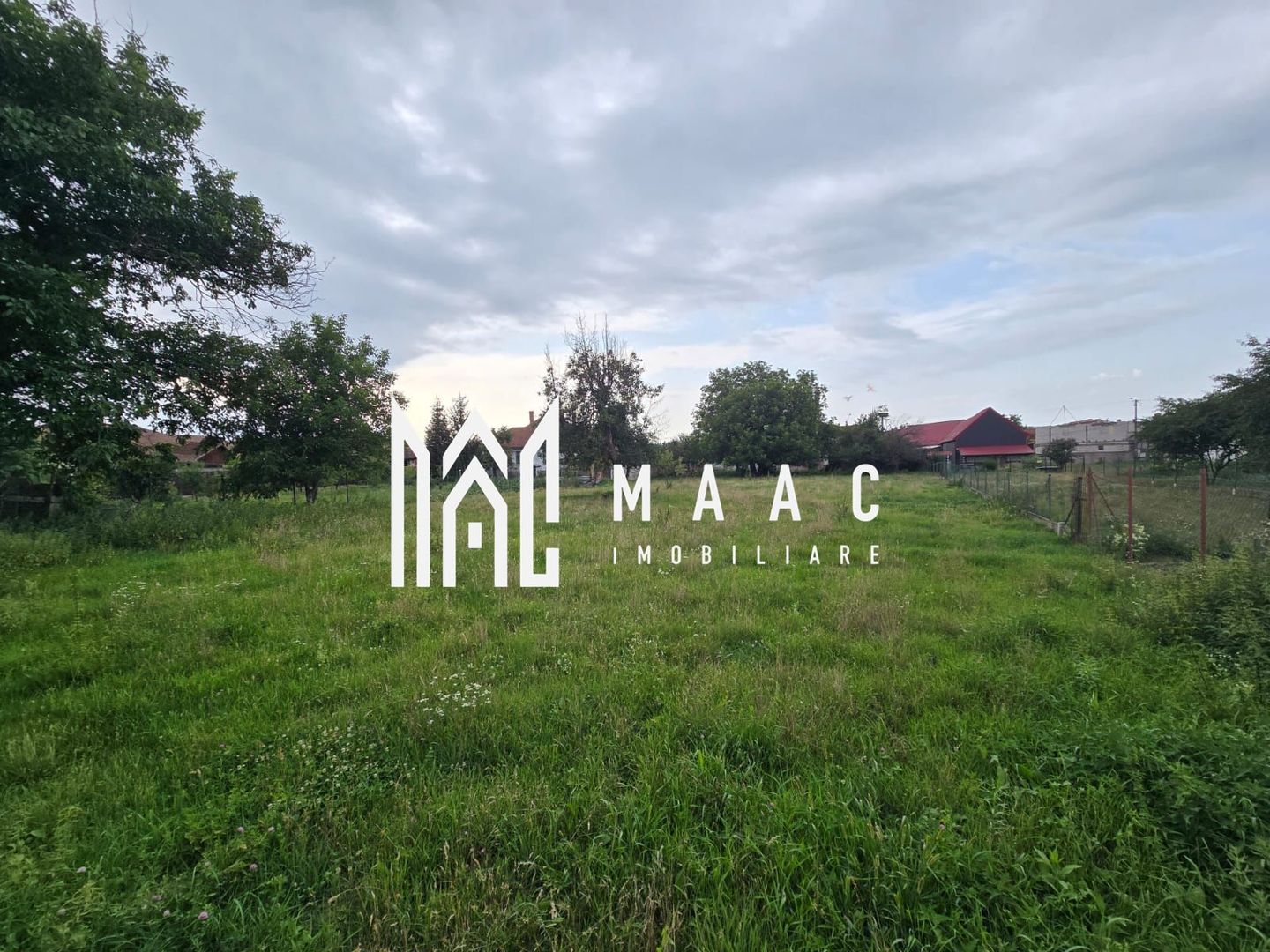 Casă 3 camere | Arpașu de Jos | 120 mp utili, teren 2600 mp, DN1 - Poză 3